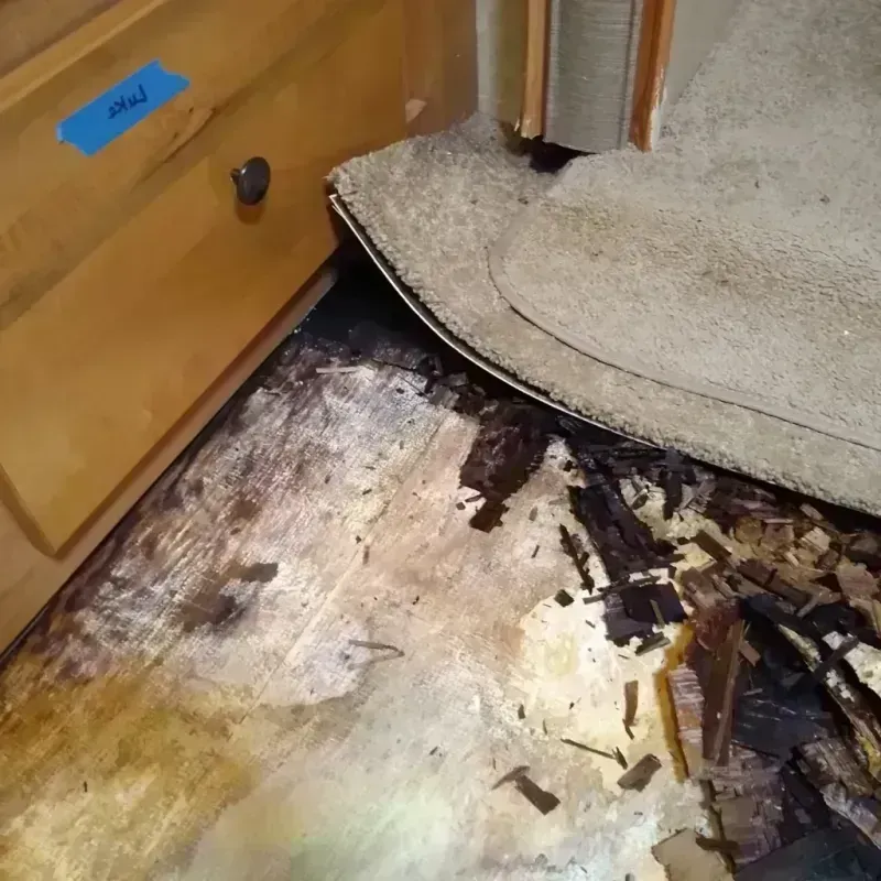 Best Wood Floor Water Damage Service in Waveland, MS